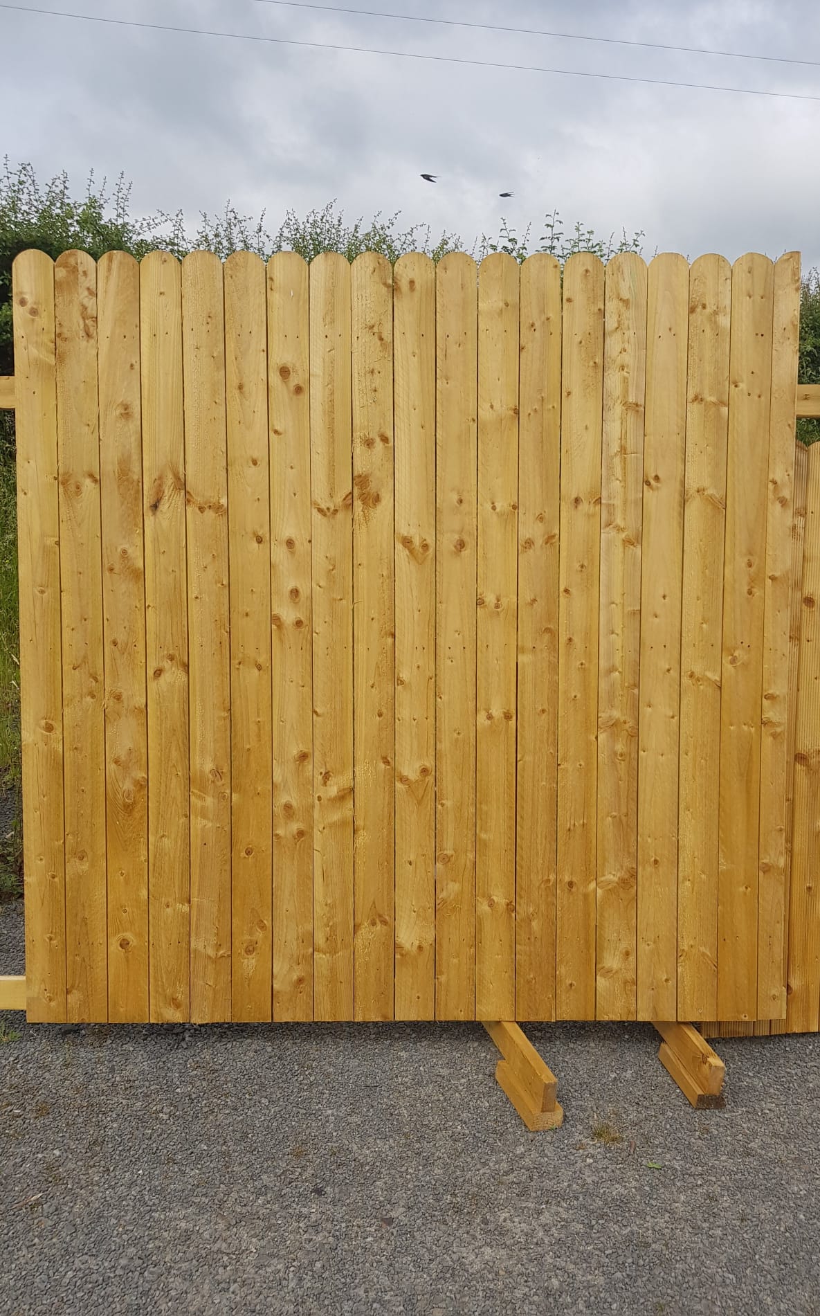 Closed Board Picket Fence with Round Top
